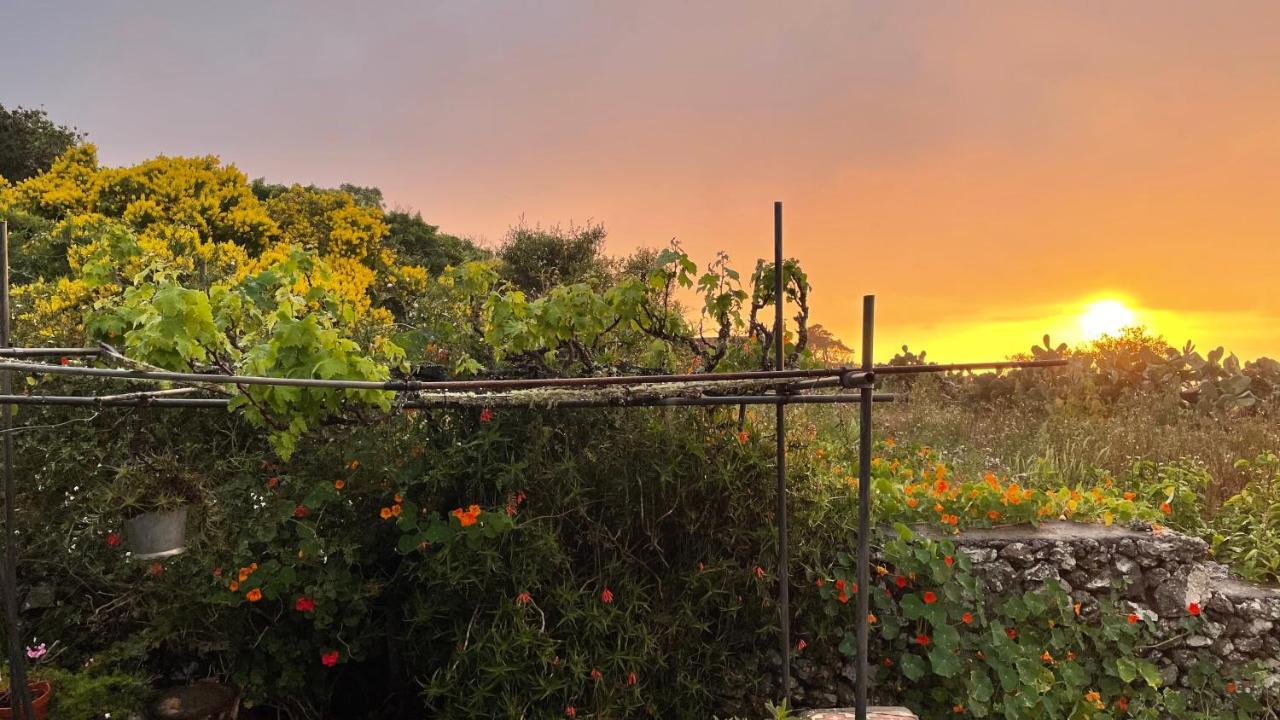 Casa Rural Casa & Monte Erese エクステリア 写真